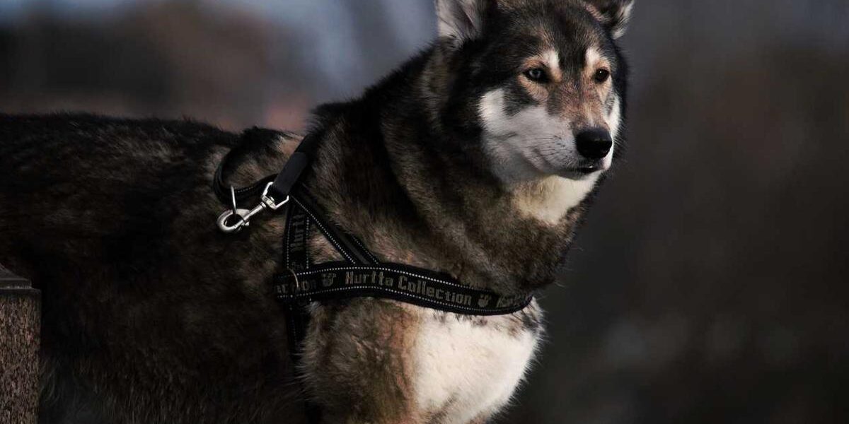 DNF Books: When and Why to Stop Reading