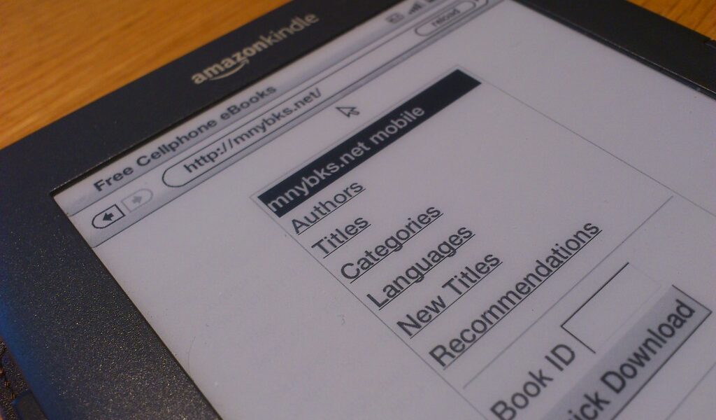 Do Authors Know Who Buys Their Books on Kindle?